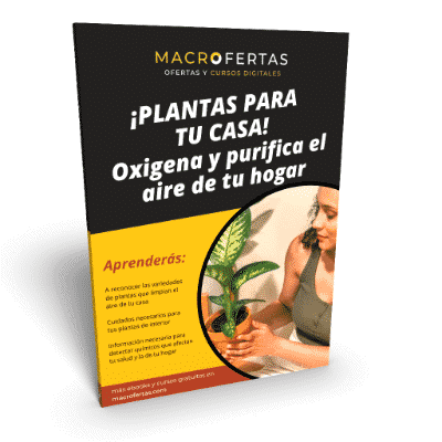 plantas purificadoras de aire