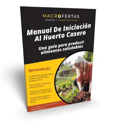 guía de huertos caseros
